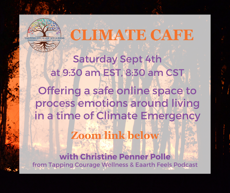 Read more about the article Online Climate Cafe Launching Saturday September 4th